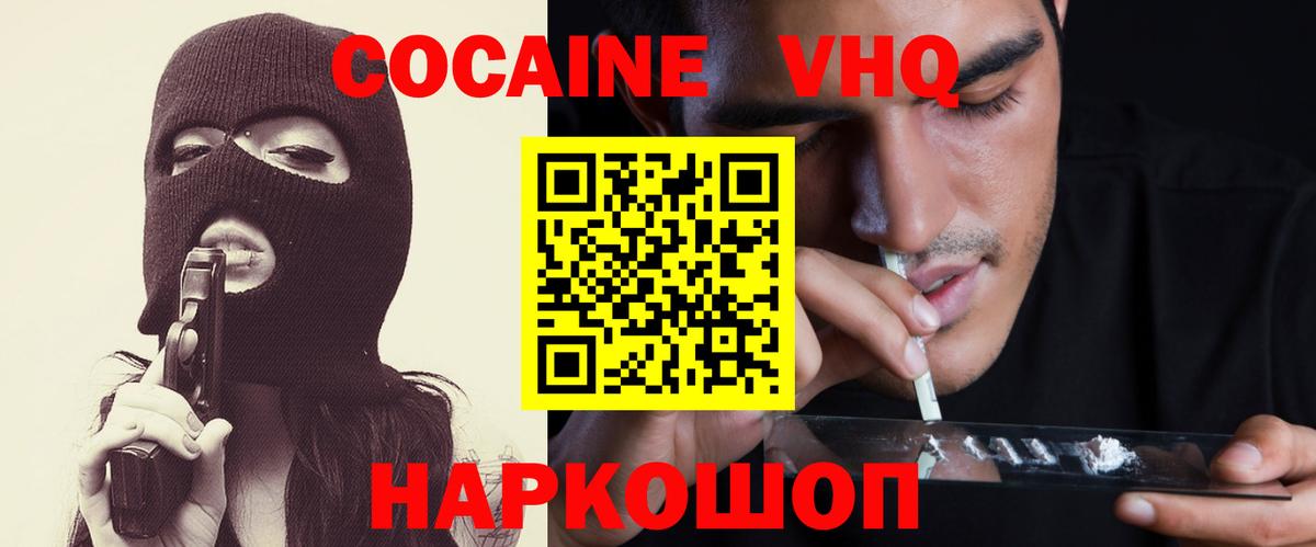 Новодвинск  где купить наркотик  Вход с VPN  Cocaine FishScale 