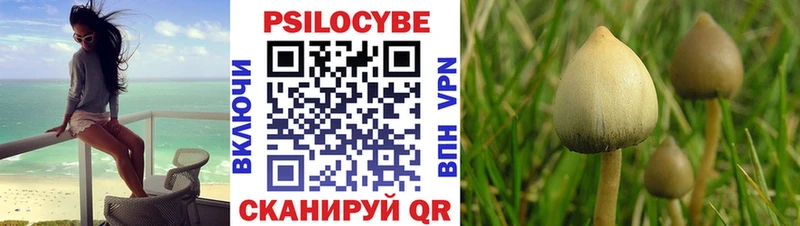 Псилоцибиновые грибы MAGIC MUSHROOMS  Новодвинск 