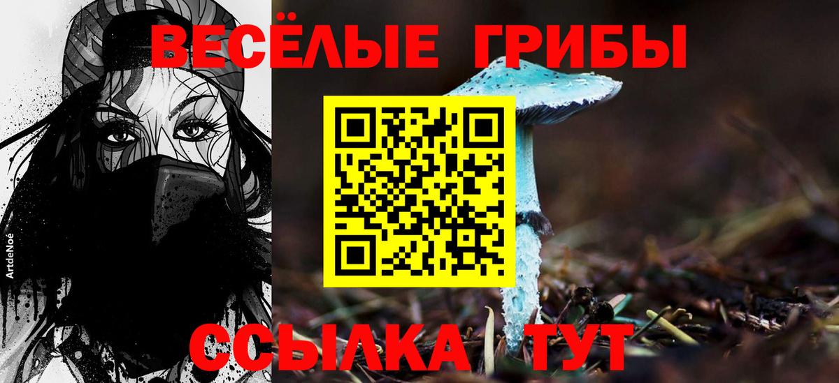Галлюциногенные грибы ЛСД Новодвинск