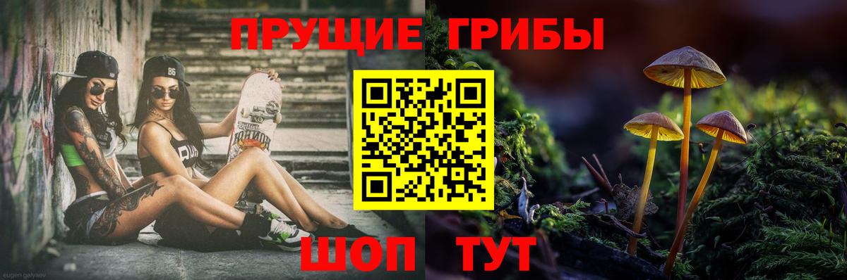 Псилоцибиновые грибы ЛСД  Псилоцибиновые грибы GOLDEN TEACHER  Новодвинск 