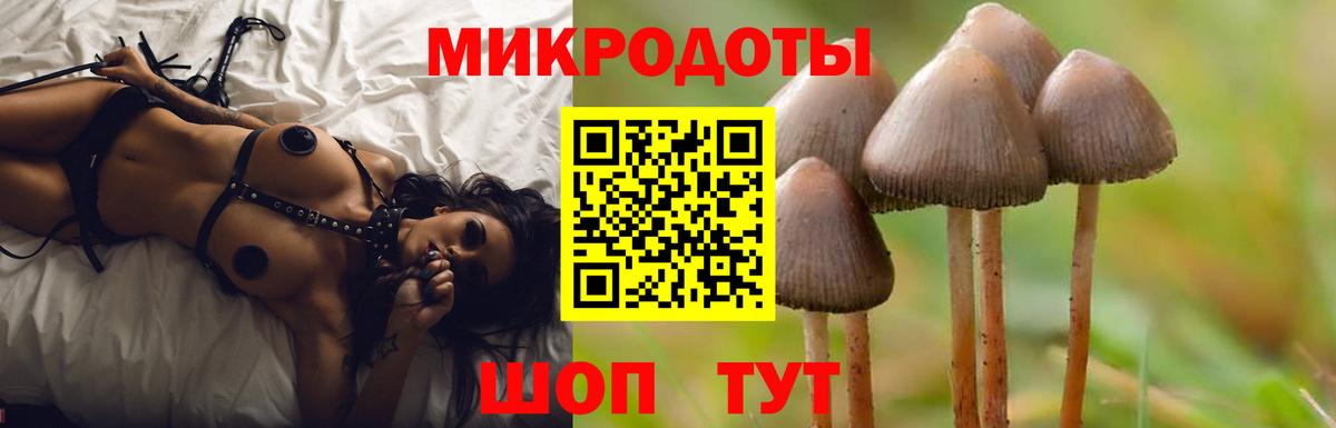 Новодвинск  Галлюциногенные грибы прущие грибы  Вход с VPN 